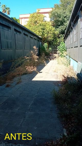 Se desbrozan jardines y parcelas