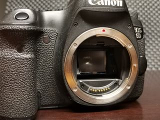 Canon 6D. Full frame.