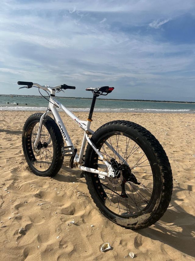 Fat bike