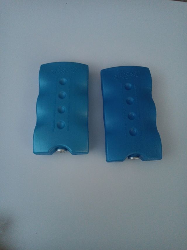 Borsa frigo elettrica da auto 20l