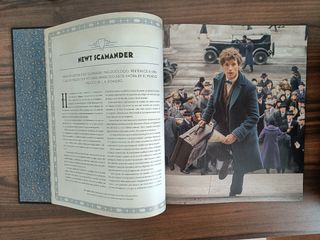 La magia desde dentro: animales fantásticos