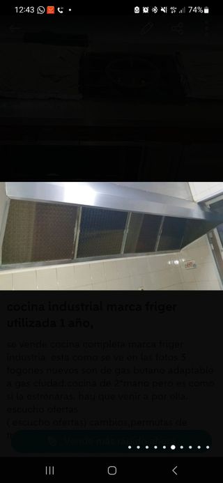 cocina industrial semillas nueva