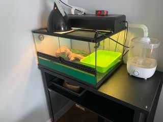 Terrario y accesorios a parte (ÚLTIMOS DIAS)