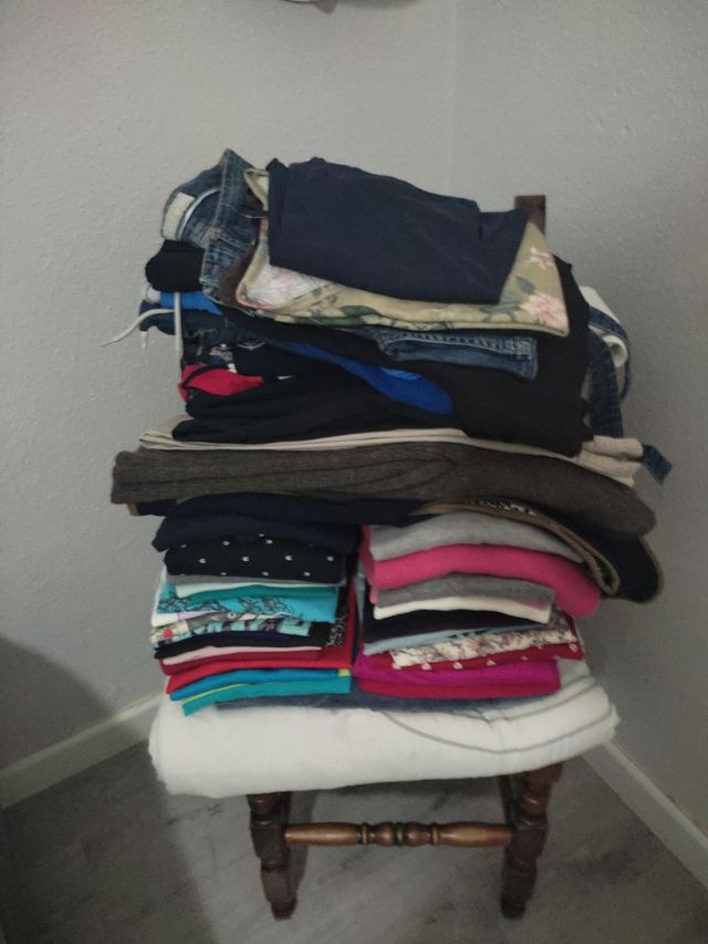 camisetas, chaquetas, sudaderas, vestidos