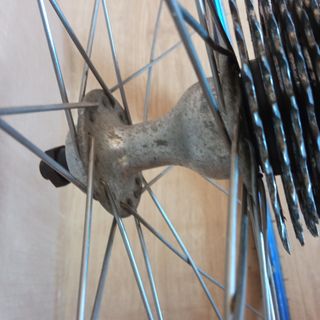 llantas rígida tvm campagnolo 