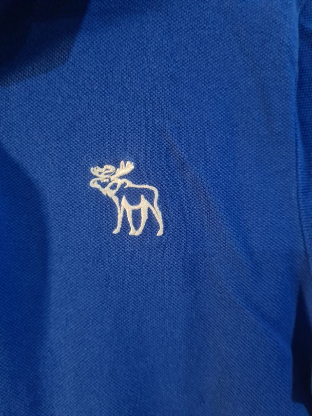 Polo Abercrombie & Fitch
