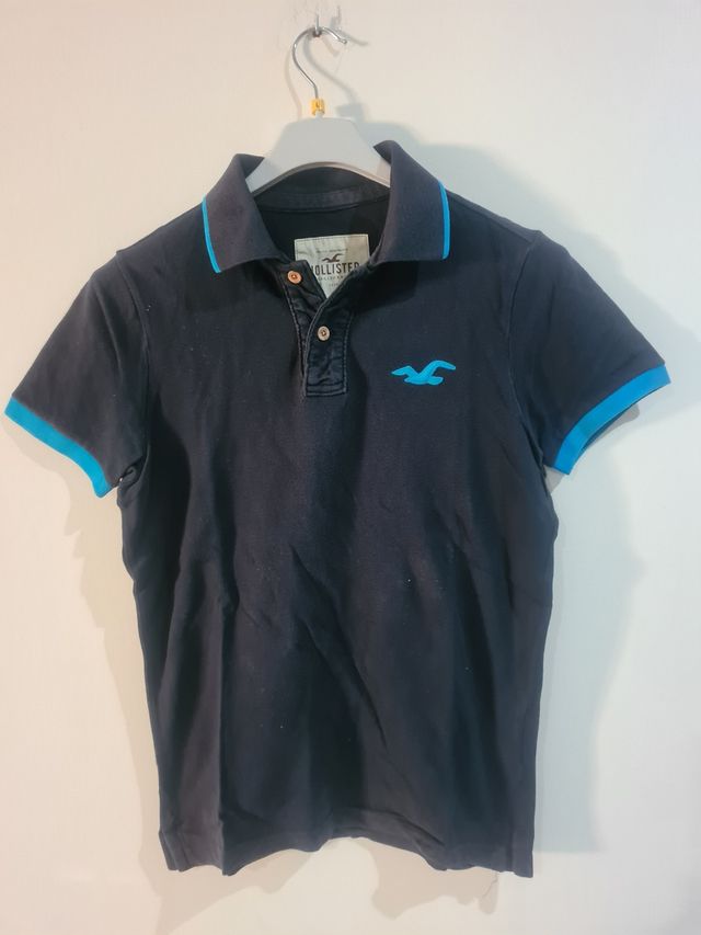 Polo Hollister