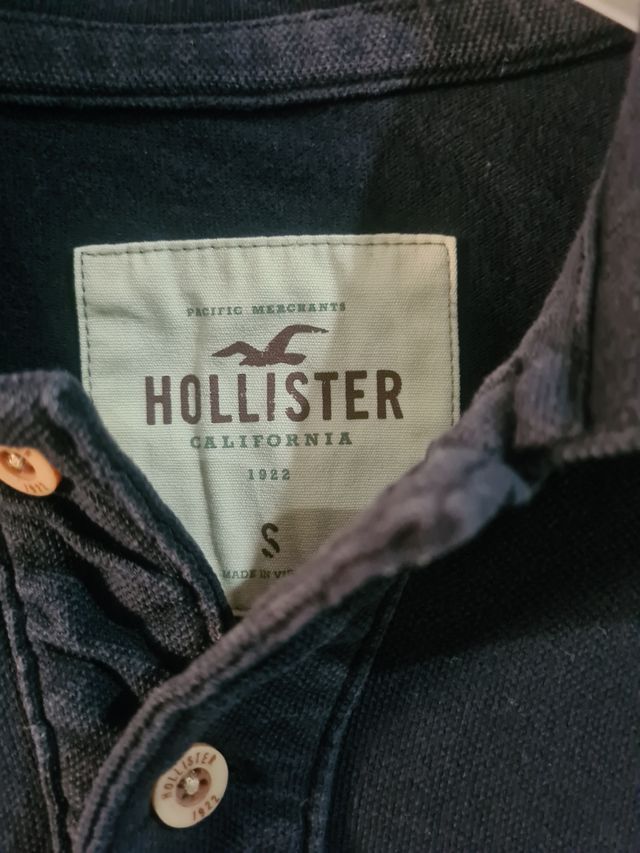 Polo Hollister