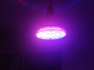 9 Bombillas Led 56W