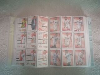 ÁLBUM FICHAS LIGA 2015 COMPLETO