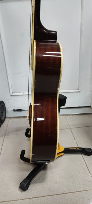 Guitarra acústica Richwood RHS-26E-2TS
