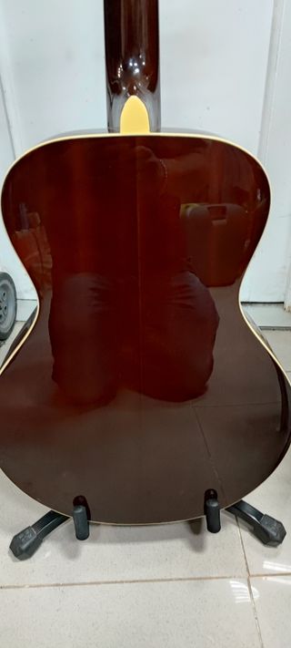 Guitarra acústica Richwood RHS-26E-2TS