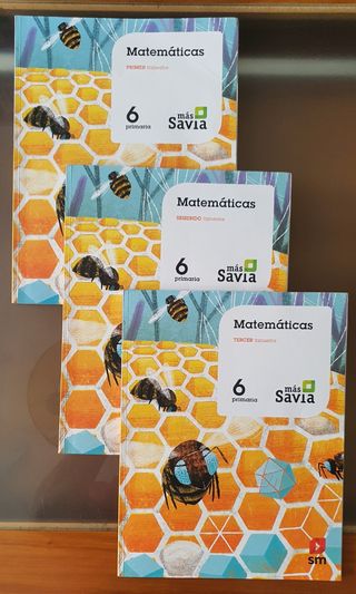 libro de sexto de primaria de Matemáticas