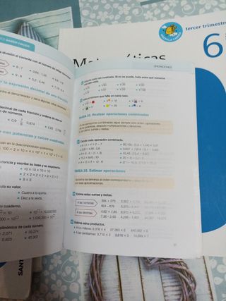libro matemáticas 6