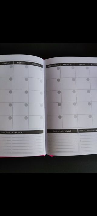 Planner settimanale fucsia non datato Clever Fox 