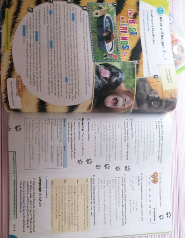 Libro inglés student's book 3 ESO