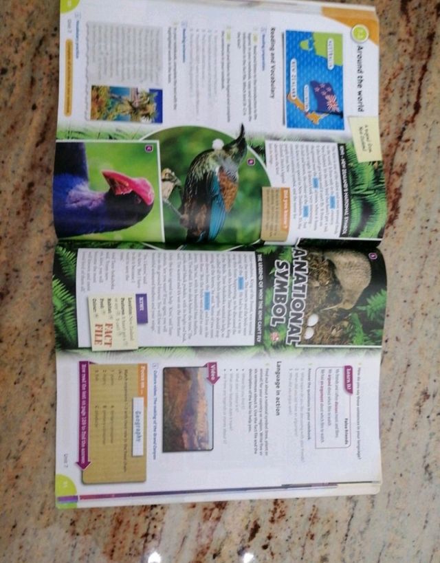 Libro inglés Mosaic Oxford 2 ESO