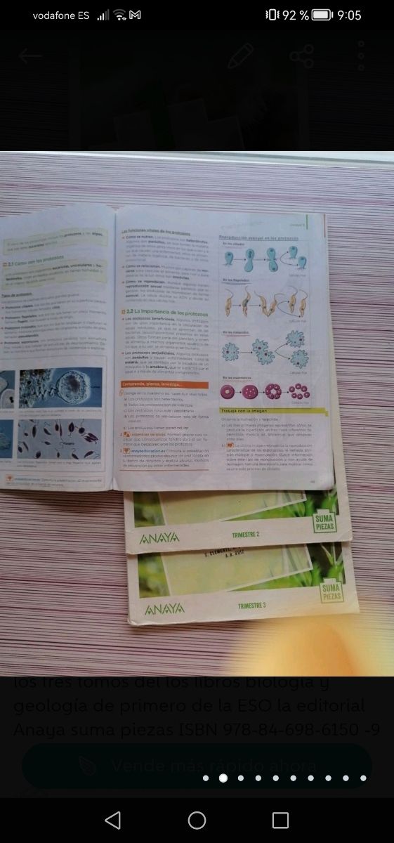 Libro biología y geología 1 ESO