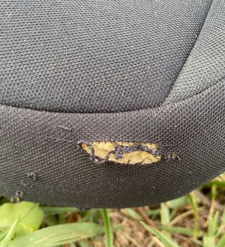 Silla coche Cybex con isofix