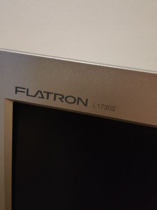 Monitor pantalla ordenador LG