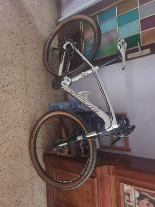 Carbono Speciallized Stumpjumer