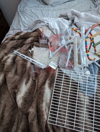 Super pack de cosas de pajaros