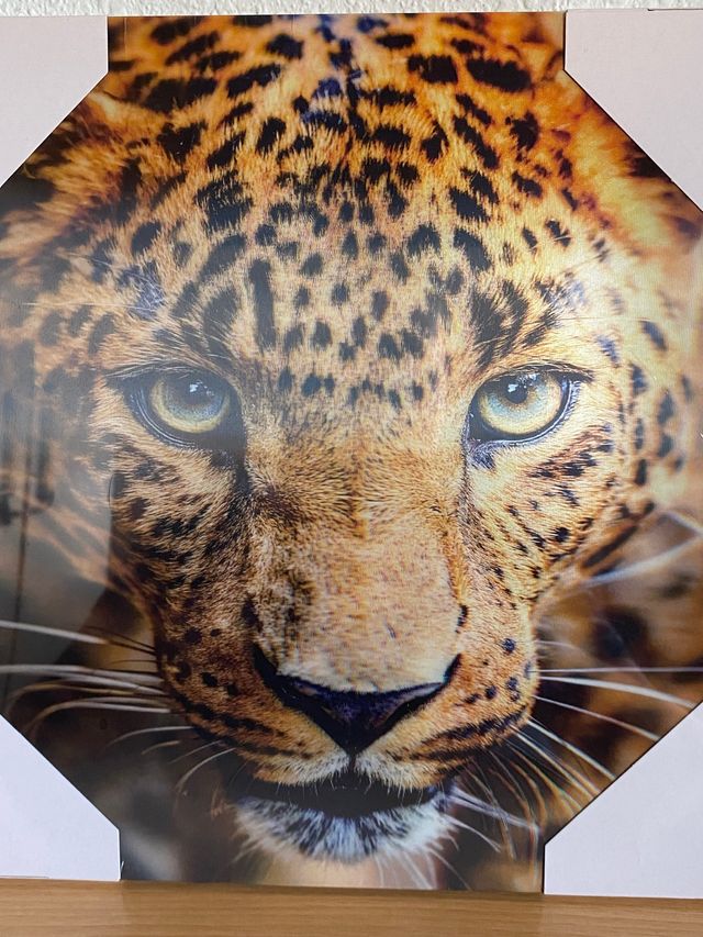 Cuadro Leopardo Realista