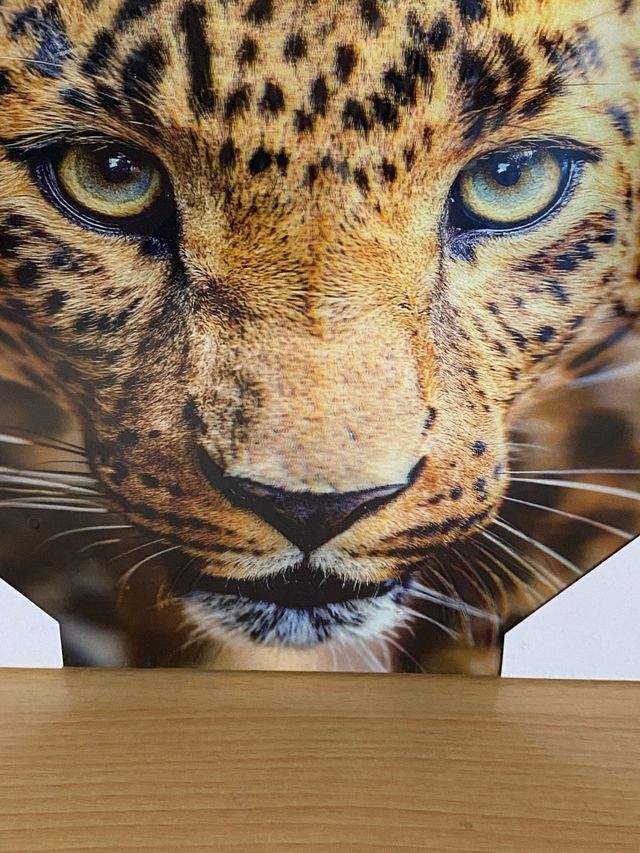 Cuadro Leopardo Realista