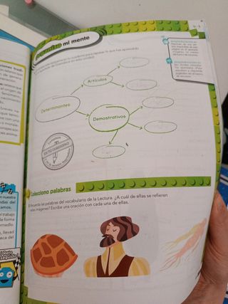 Libros lengua 5to primaria Anaya