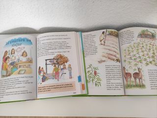 Libros infantiles de aprendizaje