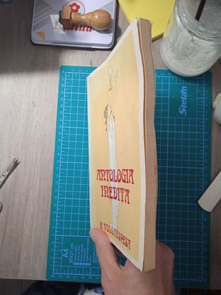 Antología inédita. Francisco Villaespesa