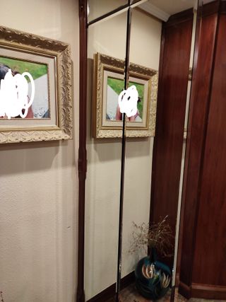 Última puerta de madera maciza sapelly con espejo