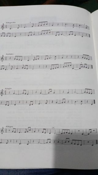 se imparten clases particulares de musica