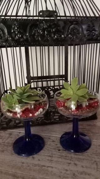 Tazas personalizadas