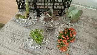 Tazas personalizadas