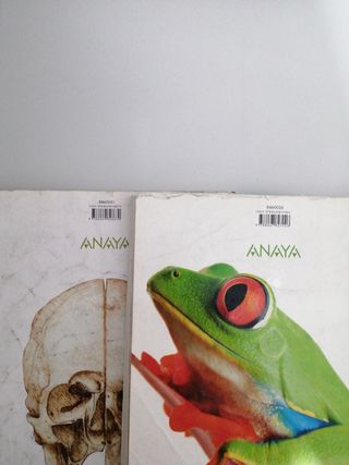 LIBROS 1 BACHILLERATO