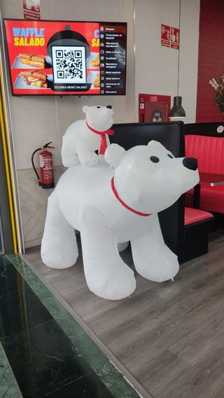 Paseo perros de cualquier raza