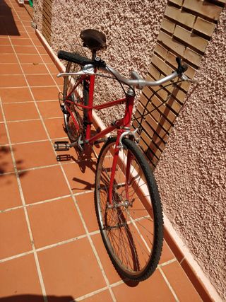 Bicicleta Urbana Paseo BH