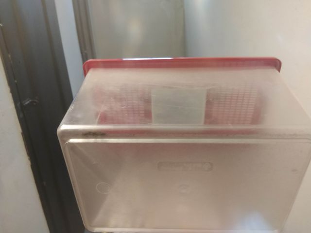 Vaschetta per pesciolini rossi