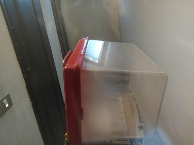 Vaschetta per pesciolini rossi