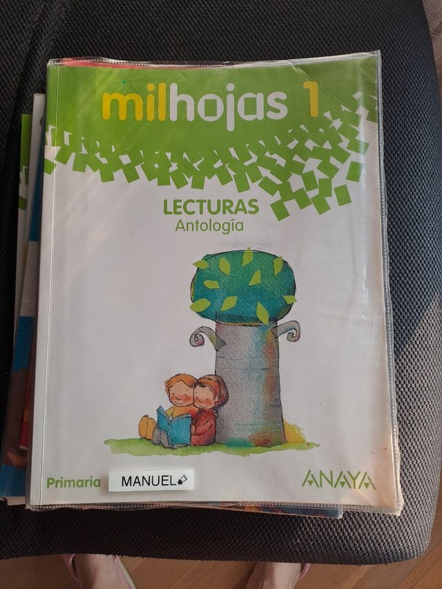 Milhojas 1