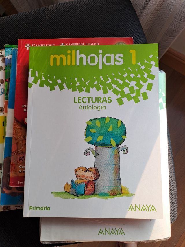 milhojas 1