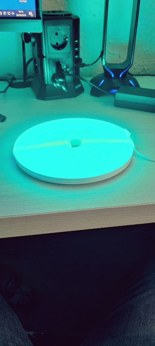 Luces de neón RGB 5m