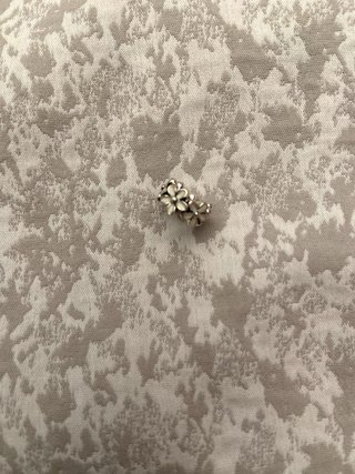 Charm para Pandora