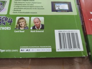 Macmillan Tiger Team Activity Book 4