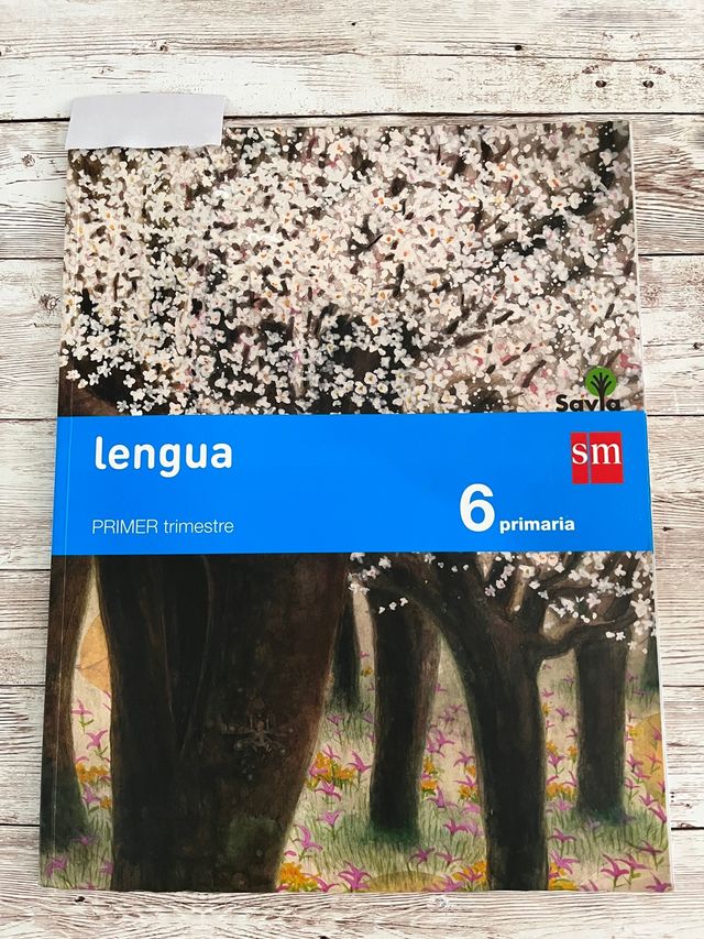 3 manuales escolares de lengua primaria 6 Savia SM