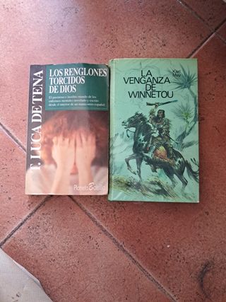 2 libros de novela