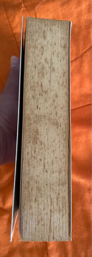 Sinónimos y Antónimos