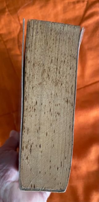 Sinónimos y Antónimos