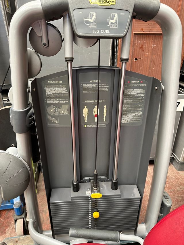MÁQUINA DE CUÁDRICEPS MARCA TECHNOGYM de segunda mano por 1.100 EUR en